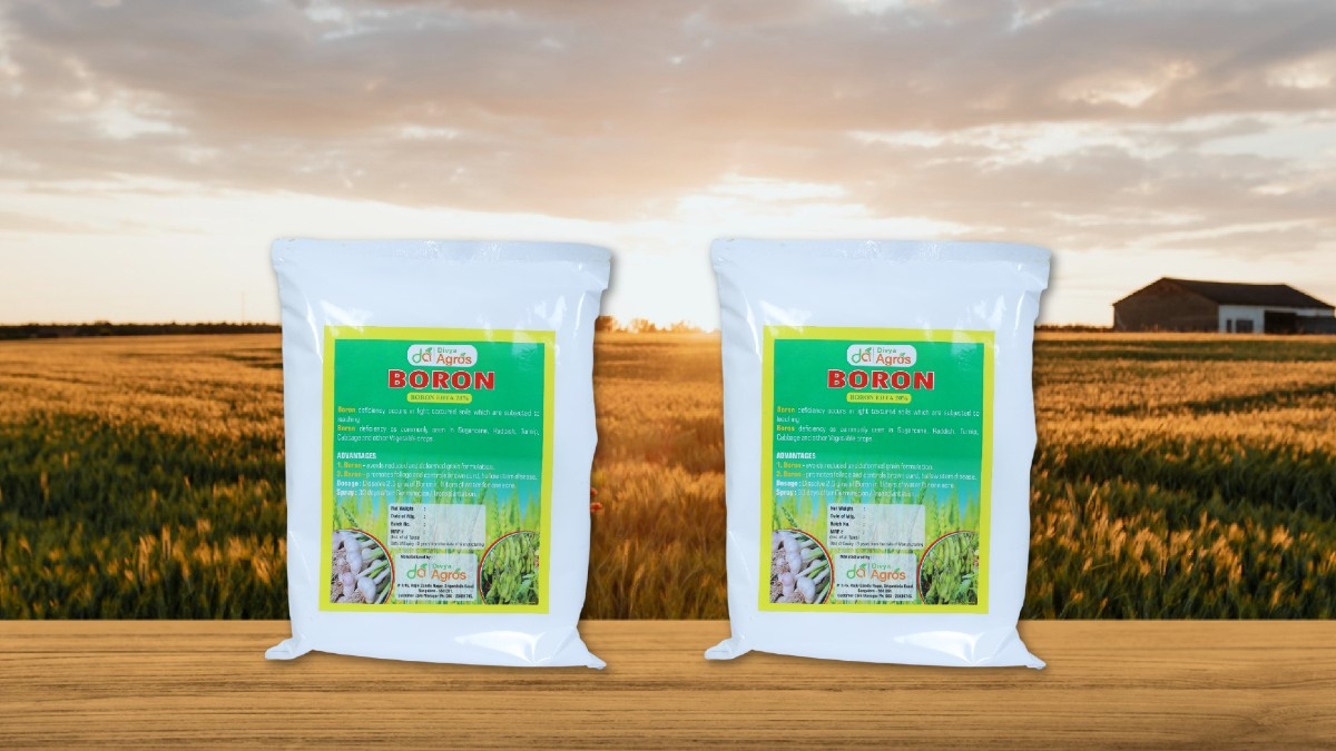 Divya Agros BORON ™  – Boron EDTA 20%